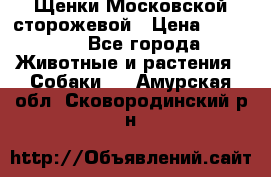 Щенки Московской сторожевой › Цена ­ 35 000 - Все города Животные и растения » Собаки   . Амурская обл.,Сковородинский р-н